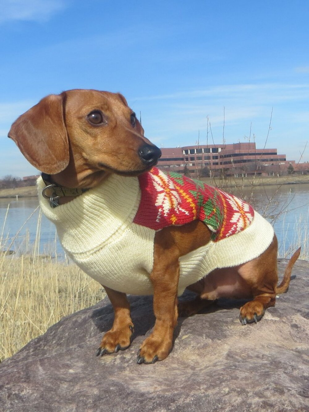 NWT size SMALL dog NEW sweater WORLD MARKET knit pet fair isle red cute warm